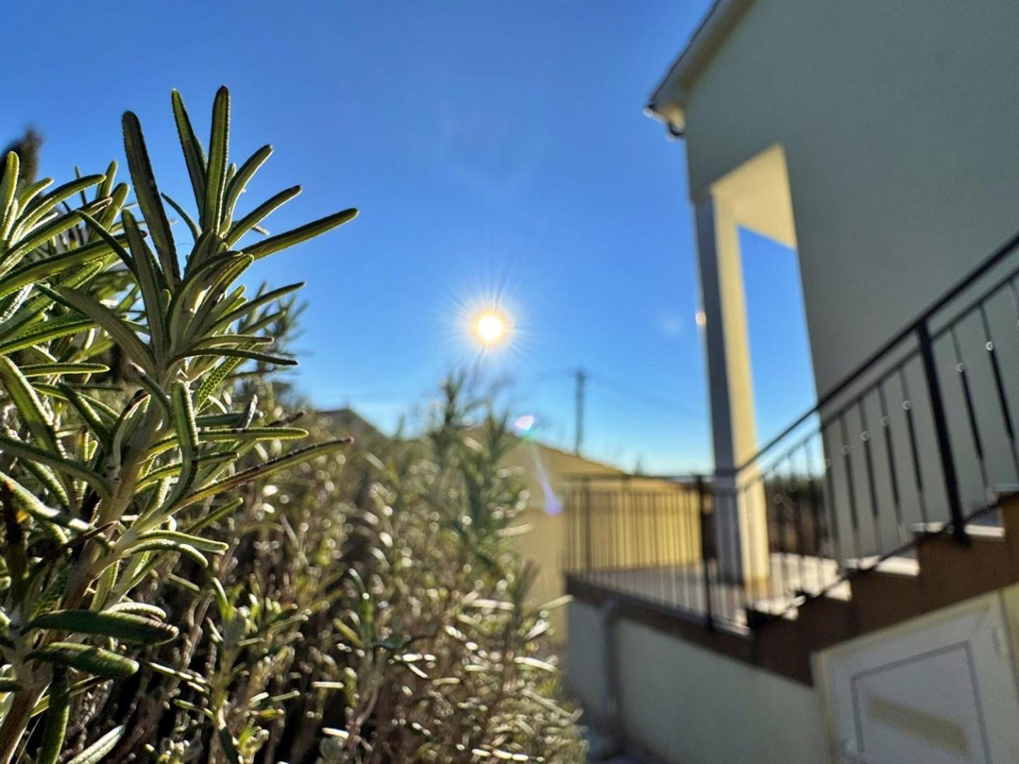 Apartments Pavle マリンスカ エクステリア 写真